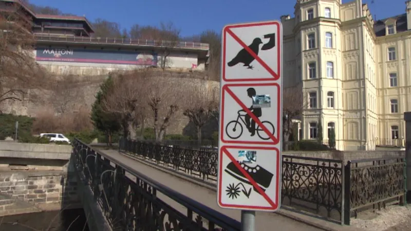 Zákaz krmení holubů