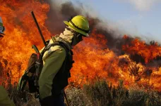 Nebýt požárů v Africe, pralesy v Amazonii by tak neprosperovaly, zaskočilo vědce