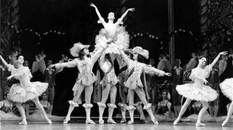 Šípková Růženka