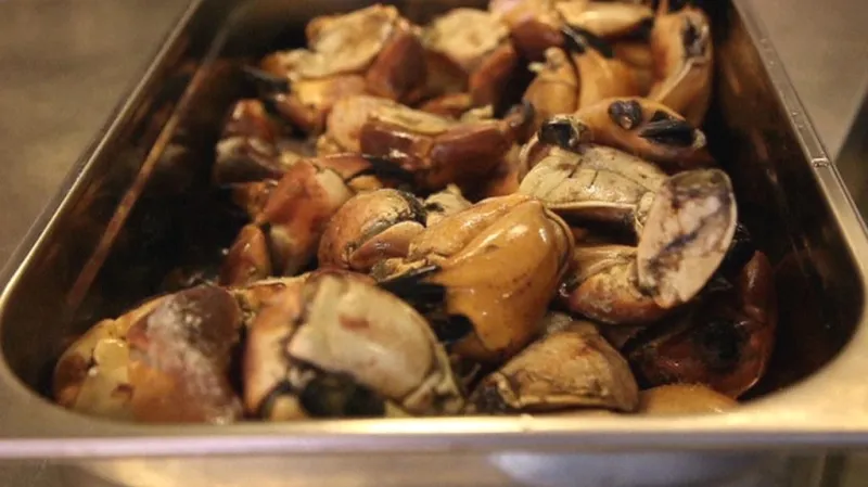 Račí klepeta ze zbytků úlovku kodaňského rybáře