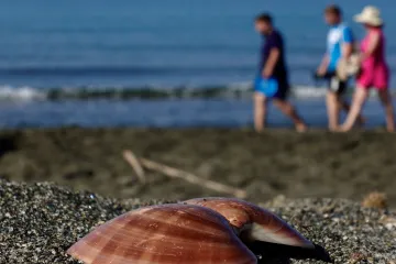 Pět let od intervencí: Cestování Čechů brzdily spíš teroristické útoky než kroky ČNB