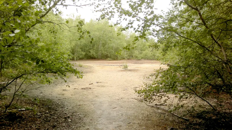 Křemelina bez vegetace