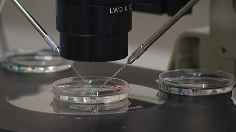 Asistovaná reprodukce