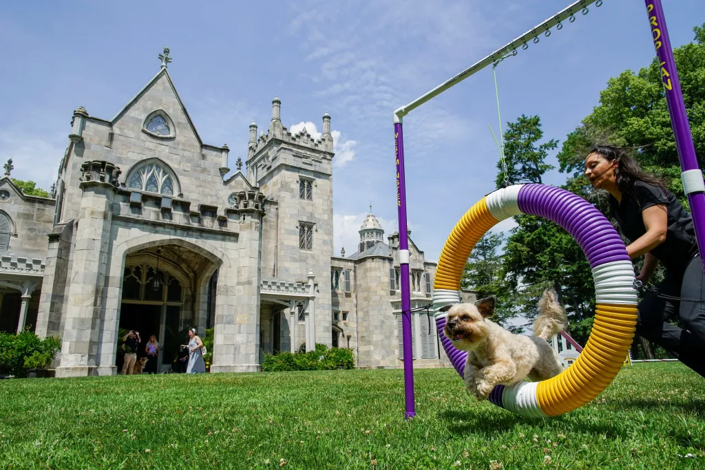 Jedna z nejstarších přehlídek psů na světě pořádaná klubem Westminster Kennel Club Dog našla nové místo v zahradách usedlosti zvané Lyndhurst Mansion