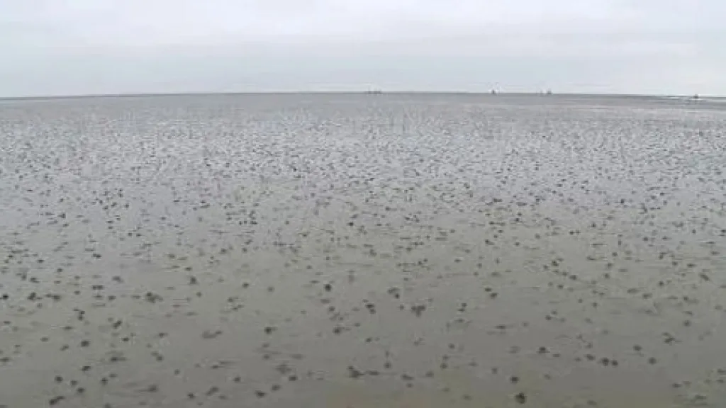 Národní park Wattenmeer