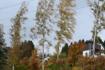 Na pomezí Čech a Moravy začne v noci na neděli silně foukat