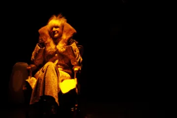 HaDivadlo nabízí pozoruhodnou inscenaci o včelách