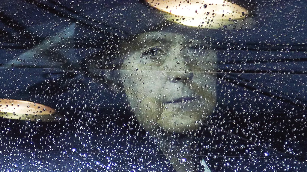 Angela Merkelová 11 let v úřadě