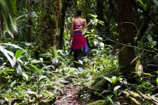 Brněnští výzkumníci budou mít základnu v ekvádorském pralese
