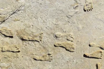 Vědci našli v Severní Americe lidské stopy starší než 20 tisíc let. Mění to představy o jejím osídlení