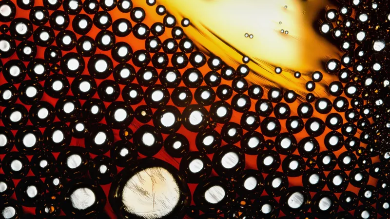 Směs Vitaminu C a cukru; zvětšení: 50x