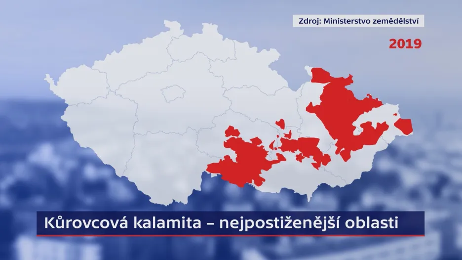 Oblasti nejvíce postižené kůrovcem
