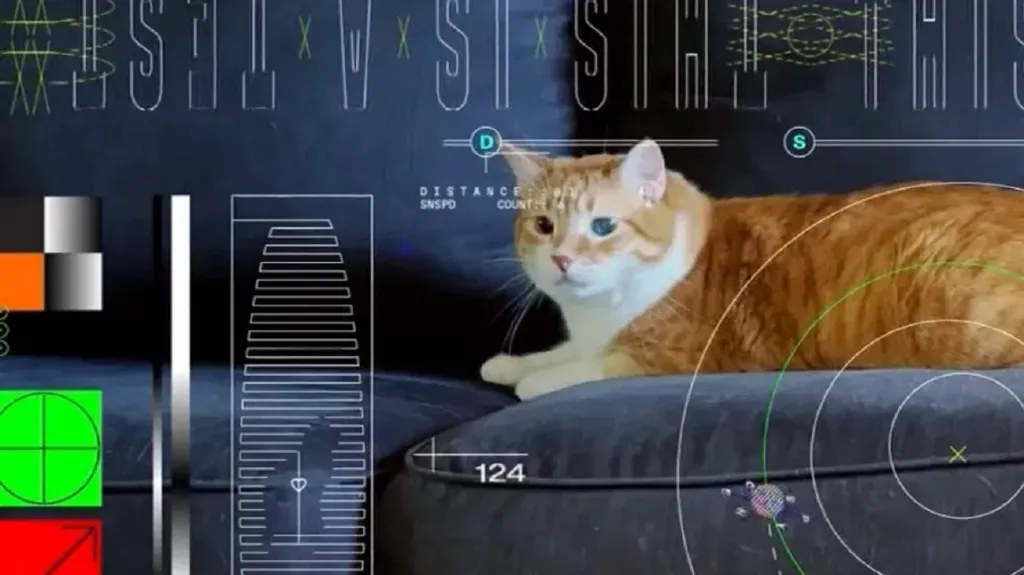 Kočka Taters na kosmickém videu