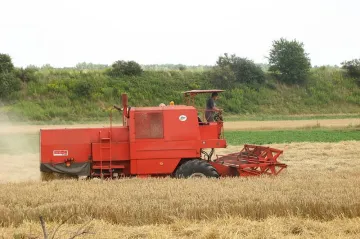 Agrární komora: Sklizeň bude dobrá, obilí bude pro Čechy dost