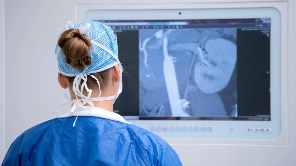 Transplantace ledviny