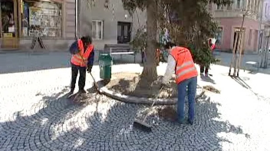 Veřejně prospěšné práce