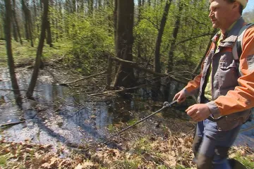 Do čtrnácti dnů hrozí kalamita komárů. Města se proto snaží ekologicky likvidovat larvy