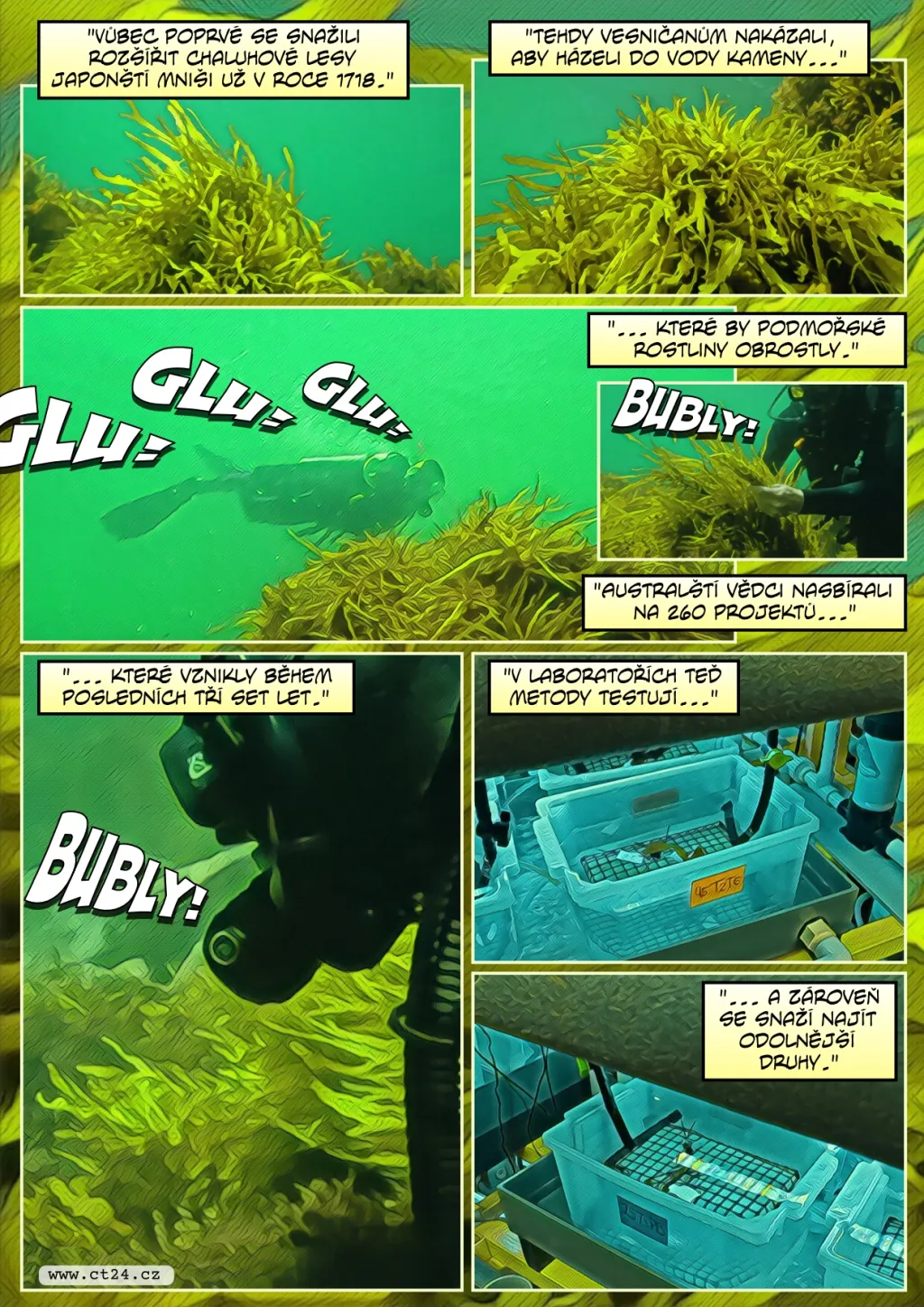 Boj s úhynem chaluh