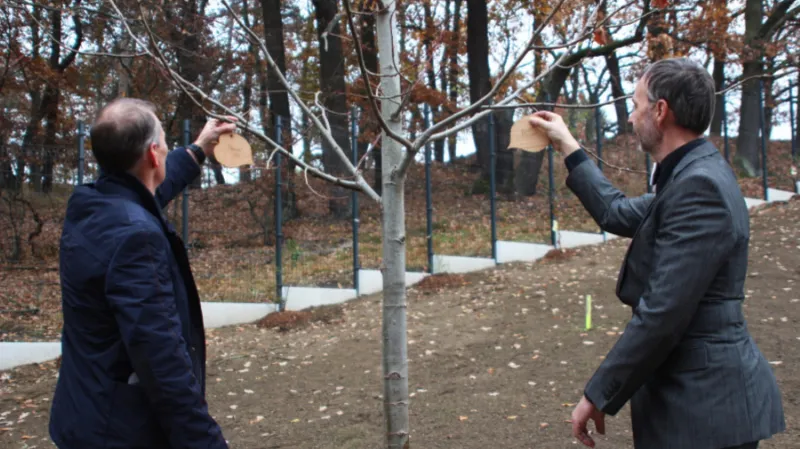 Odhalení Stromu života Ústavu anatomie 2. LF UK (2021)