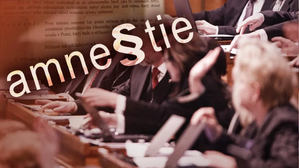 Amnestie v Senátu