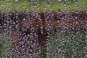 Fakta a mýty o kapkách deště: Nevoní, nejsou čisté a připomínají hamburgery