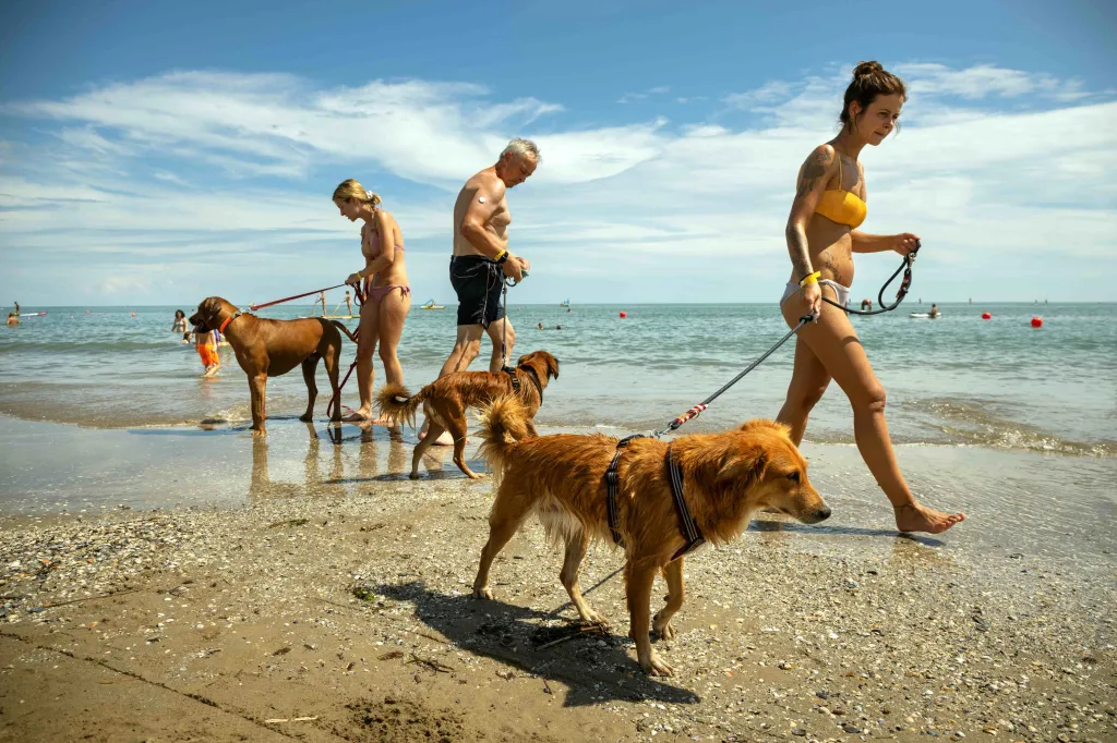 Psí pláže (Jan Cága, volný fotograf, nominace v kategorii Každodenní život)
