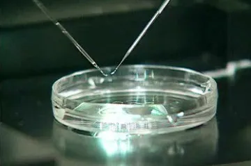 Britsko-singapurský tým představil lék na Alzheimerovu chorobu