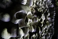 Vědec tvrdí, že našel kosti bojovníků z bitvy u Lipan. Je to spekulace, oponuje archeoložka
