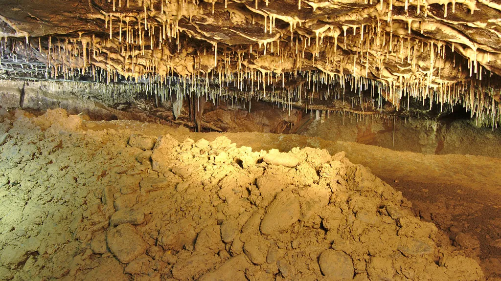 Krápníky v Amatérské jeskyni