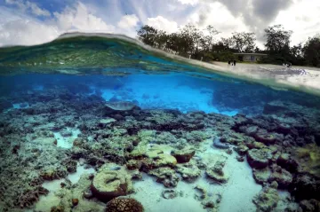 Za Velkým bariérovým útesem se skrýval ještě jeden. Objevili ho až letos