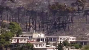 Spálený les u Atén