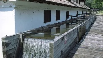 Dobřív na Rokycansku - vodní hamr