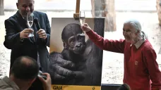 Ředitel Zoo Miroslav Bobek a bioložka Jane Goodallová, která slavnostně pokřtila mládě gorily
