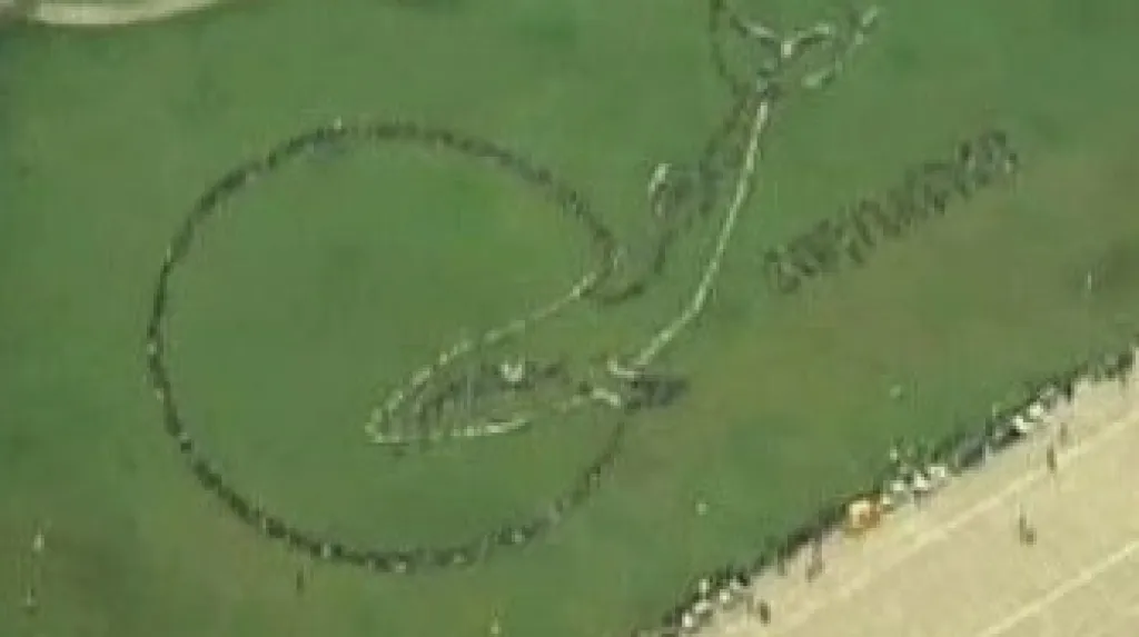 Protest proti lovu velryb