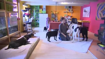 Koná se akce Plná miska