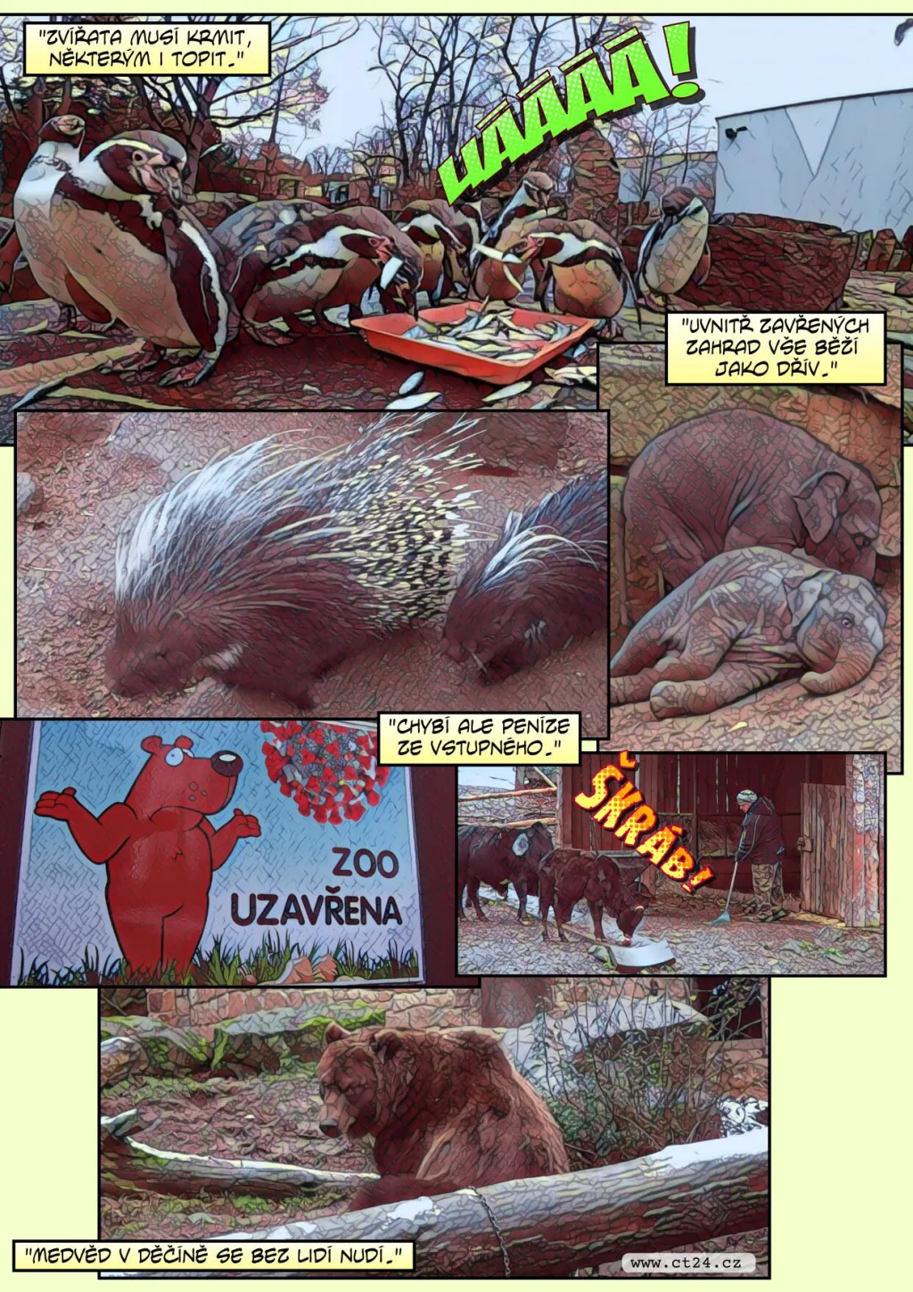 Zoologickým zahradám pomáhají dárci