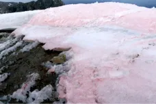 Italský ledovec se zbarvil na růžovo. Na pohled hezké, z hlediska klimatu varovné, říkají vědci