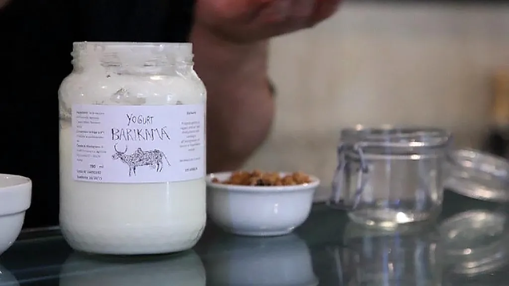 Biojogurty Barikama