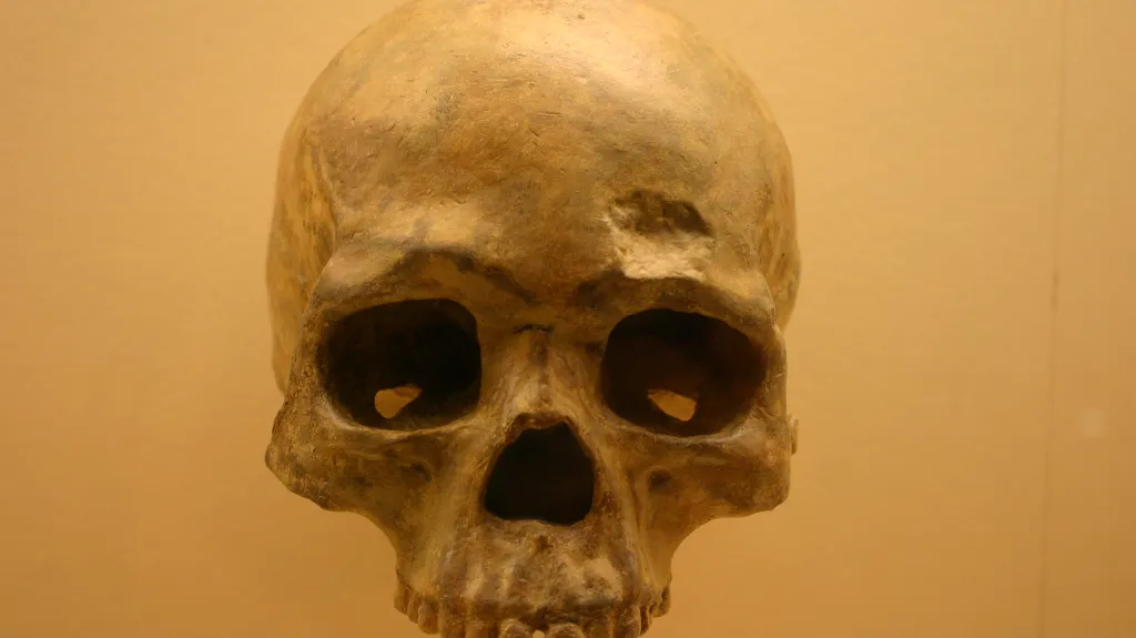 Lebka druhu Homo sapiens stará sedmdesát tisíc let