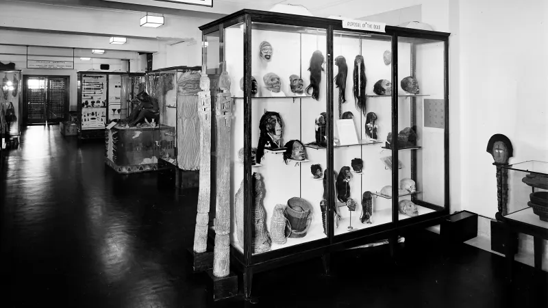 Muzejní expozice zmenšených hlaviček tsantsa a dalších trofejí ve Wellcome Historical Medical Museum