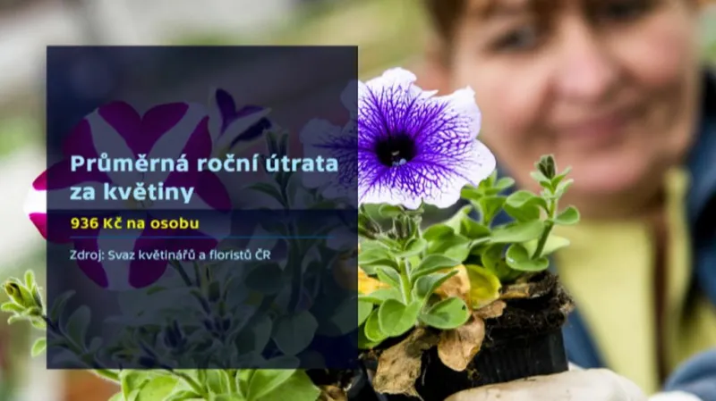 Roční útrata za kytky