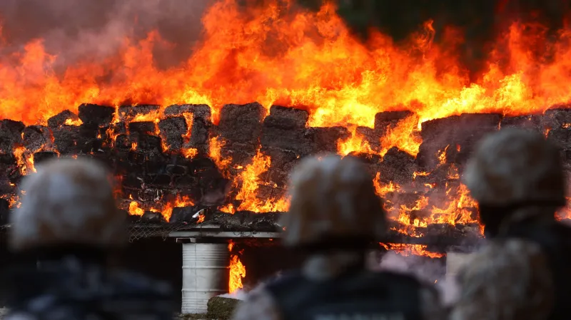 Pálení desítek tun zabavené marihuany