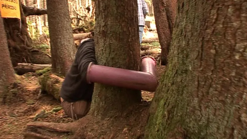 Detail způsobu přivázání ke stromu