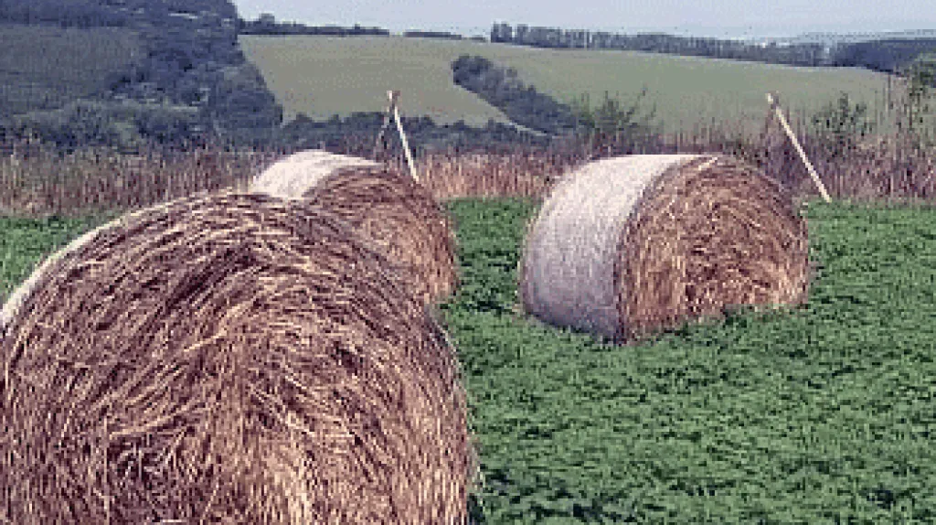 Kraj pod Bíými Karpaty