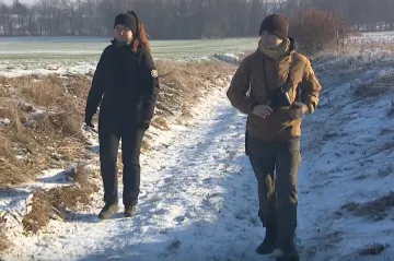 Policie řeší otravu orlů a káněte na Vysočině