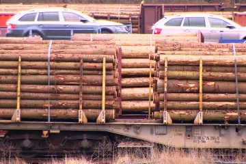 Kůrovec cestuje vlakem. Převážení napadeného dřeva rozšiřuje škůdce i tam, kde dosud nebyl