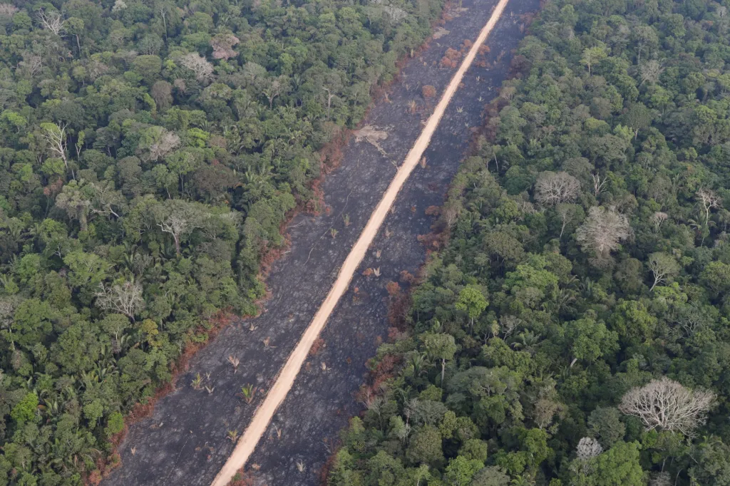 Amazonské pralesy v plamenech