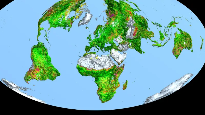 Změna v ploše listů