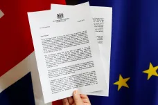 Mayová žádá odklad brexitu do 30. června, začne s přípravou na eurovolby. Z Francie i Německa zní skepse