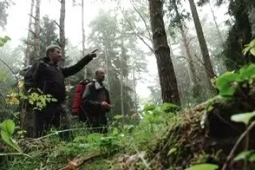 Máte problémy ve firmě? Vyražte na pouť do přírody